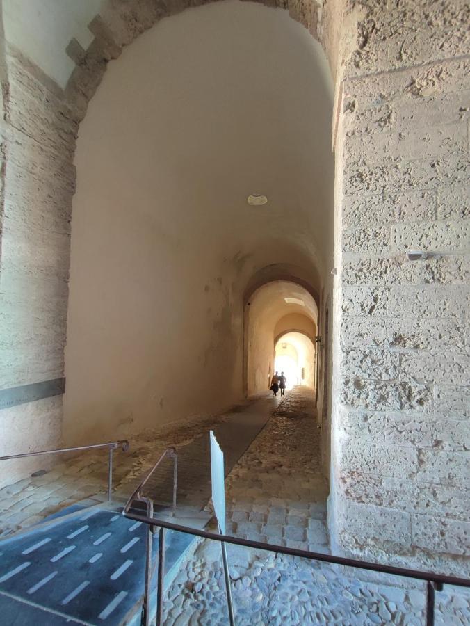 Appartement Petit Cocon A Mourepiane *